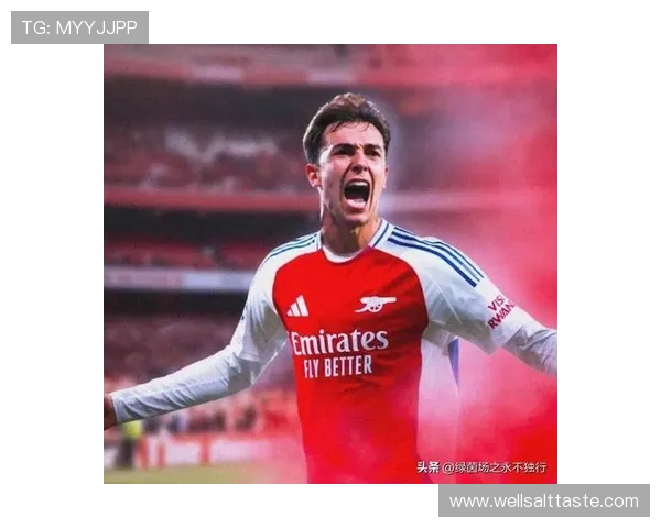 罗马诺确认！阿森纳 6500 万欧分期签苏比门迪，HWG 条款锁定中场新核(1)